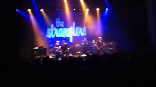 The Stranglers - Skin Deep - Live