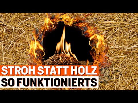 Pellets zu teuer? Diese günstige Alternative ist garantiert kein Strohfeuer!