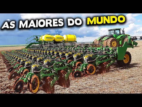 5 LARGEST SEED PLANTS IN THE WORLD!