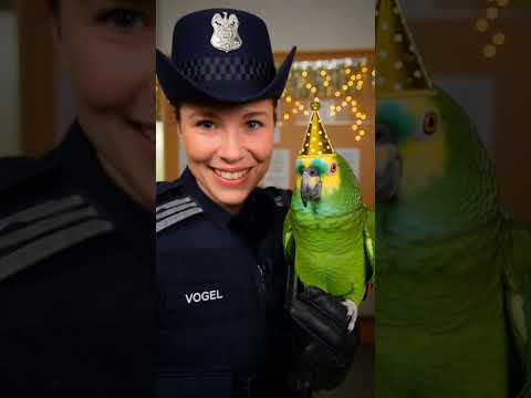 Dienstbeginn: Papagei übernimmt das Kommando 👮🦜