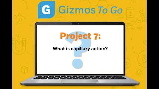 GizmostoGo Capillary Action