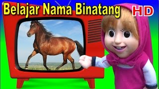 Download lagu Belajar Nama Binatang bersama Boneka Masha & The Bear mp3 Download lagu Belajar Nama Binatang bersama Boneka Masha & The Bear mp3