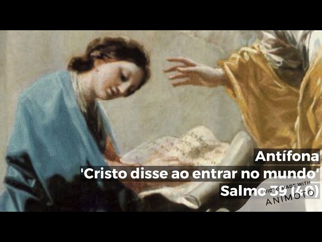 Preview do vídeo