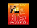 Otis Spann  -  My Home in the Delta (Full Album)