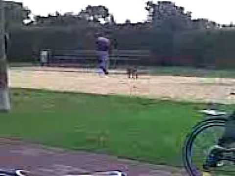 rottweiler-mischling nazli