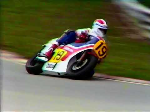 1982 Transatlantic Trophy   Brands Hatch   Races 1 and 2