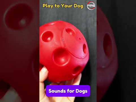 Giggle Ball Sounds for Dogs #shorts #toys #dogs