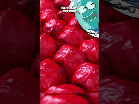 ¿A Dónde Van Las Partes Amputadas? #curiosidades #sabiasque #historia #medicina #ciencia #shorts