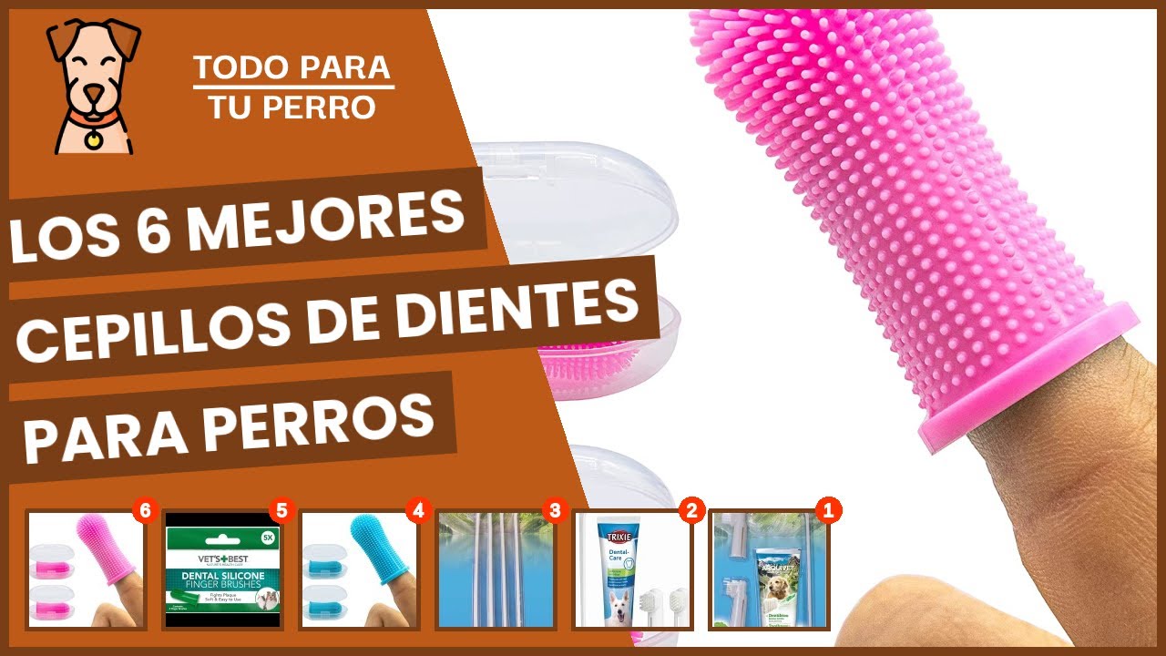 Los 6 mejores cepillos de dientes para perros