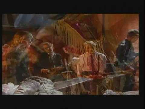 The Triffids - A Trick Of The Light (HQ)