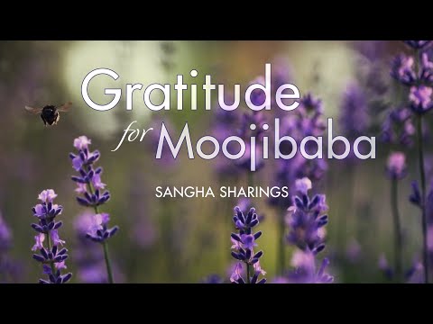 Sangha Sharings — Gratitude for Moojibaba