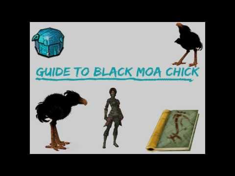 Guild wars - Guide to Black Moa Chick [WS/HD]