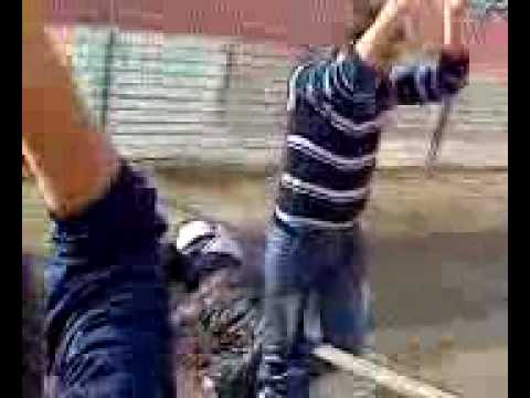 Ultra crazy boys cisternino