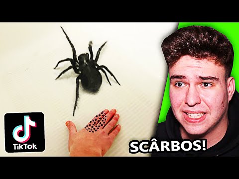 Aceste TikTok-uri Te Vor Lăsa Cu Gura Căscată...