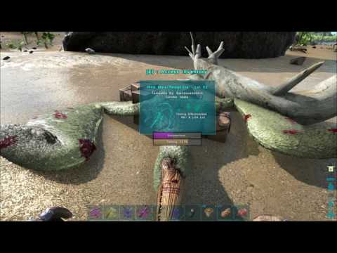 How to tame a Pelagornis - Ark Survival Evolved