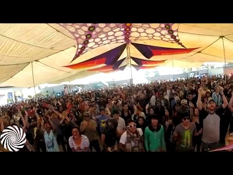 Rinkadink vs Element - Fear Is The Mind Killer