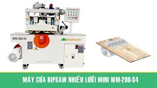 Máy cưa nhiều lưỡi Mini WM-200-S4
