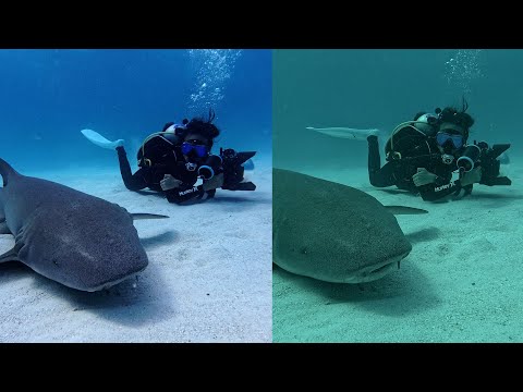GoPro Hero 12 vs Insta360 Ace Pro | Underwater Test