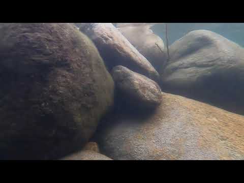 under water with go pro