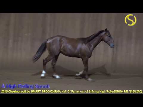 A High Rolling Spook 2017