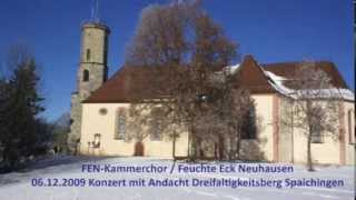 preview picture of video 'Winternächtges Schweigen FEN-Kammerchor Männerchor Feuchte Eck Neuhausen'