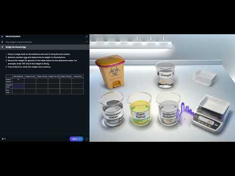 Pearson Interactive Labs | Diffusion & Osmosis