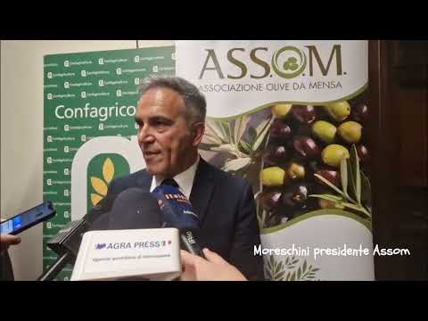 Presentazione EFOI: punto stampa Angelo Moreschini, presidente Assom