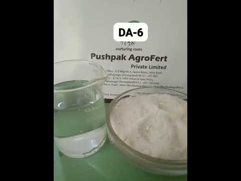 White Fruit PGR DA 6 Powder
