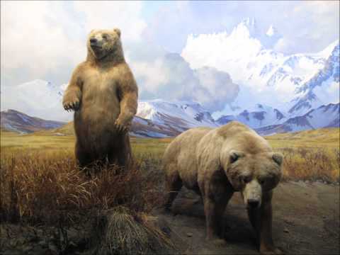 Psykovsky - Bezdne Vselennoy & Iskry Sveteal