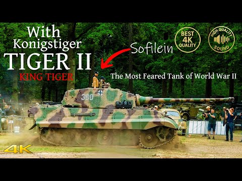 Militracks Overloon 2025 🇳🇱 Saturday | Tiger II in Action | The Most Feared Tank of WWII ? | 4K 60p