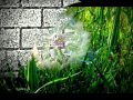 Vanessa Mae - Warm Air
