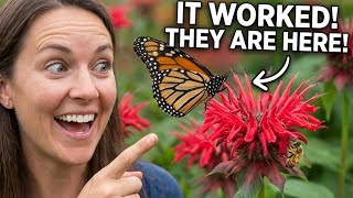 Plant These 10 Flowers & Watch Bees & Butterflies Arrive