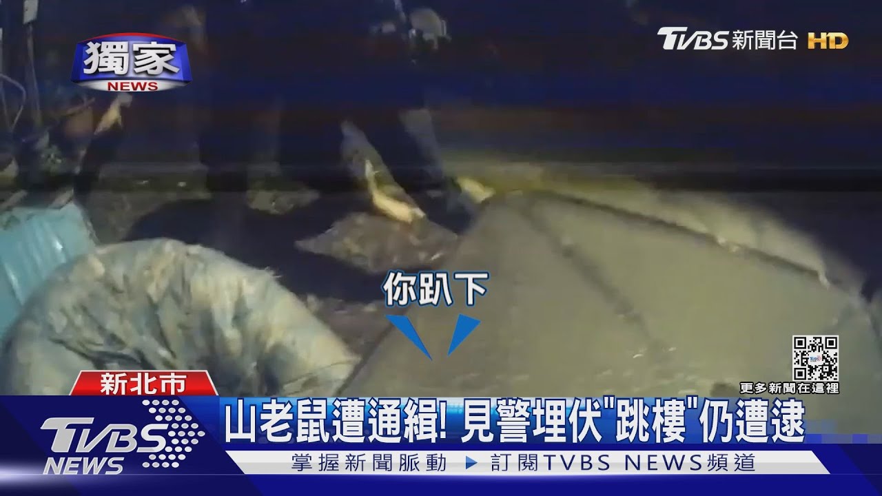 山老鼠遭通緝！　見警埋伏「跳樓」仍遭逮