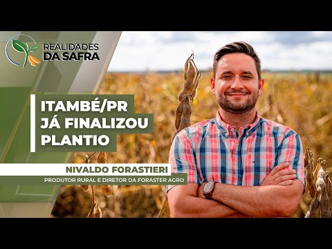 Itambé/PR já finalizou plantio da soja e lavouras se desenvolvem bem
