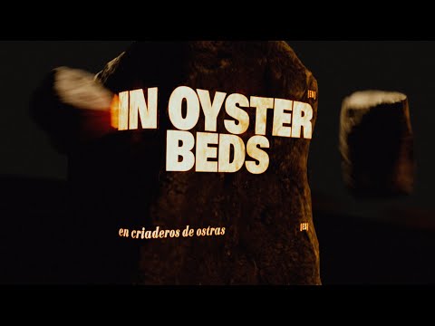 Video thumbnail for Oyster Beds