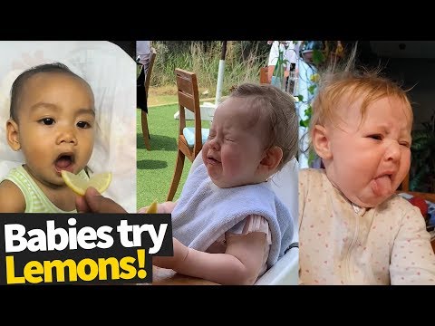 Babies Try Lemons For The First Time Compilation 2019