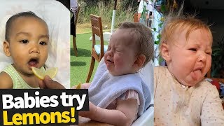 videos de risa Niños comiendo limón