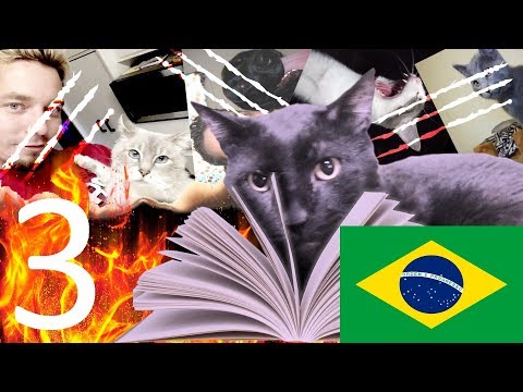O Diário de Sylvester (Dublado) - Ep3 - Gatinho Falante
