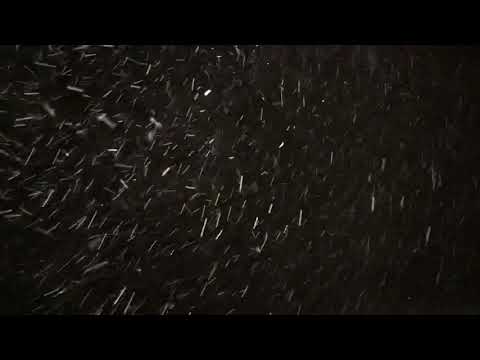 Snow storm 12-16-2020