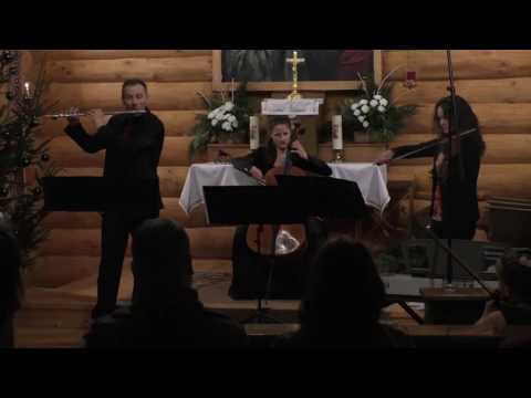 Vittorio Monti "Czardas", performed by Trio Animando