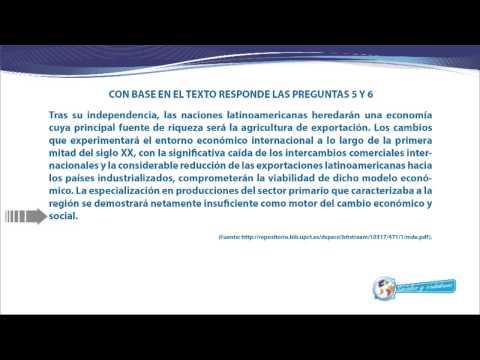 2015 MP P06 G011 006