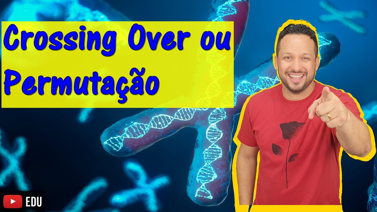 Crossing Over ou Permutação - Conceito - Meiose I - Divisão Celular - Citologia