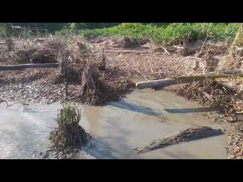 Muelle de Yaguaraparo Edo. Sucre en el extremo occidental del Golfo de Paria 