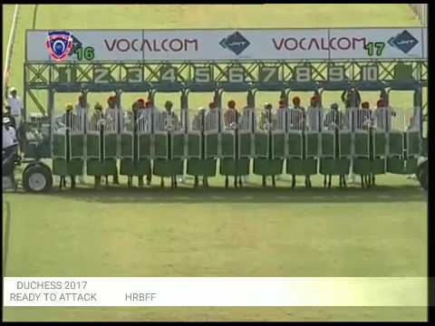 Ready to attack remporte la duchess 2017