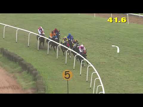 TRUMP BABY wins The Revelation Handicap Div-2