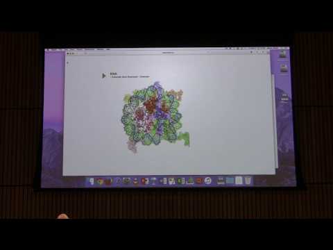 Lecture #52 Ahern's BB 451 - Gene Expression II