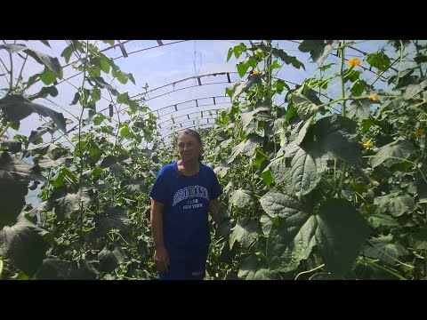 Familia Lupu din Vasilcău. Povestea de succes a agriculturii locale