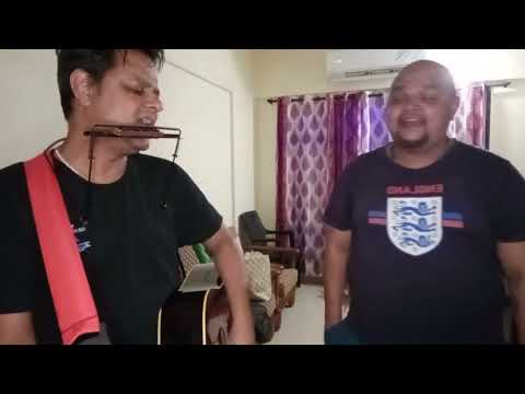 Patrick Dillon Harmonica cover of Don't give up, covered literally,by the Dillons from the movie Six feet apart