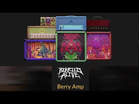 Berry Amp Charles Caswell Signature Amp Sim Plug-In From Audio Assault Guitar Demo