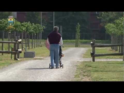 Esempi di volontariato a Cesano Boscone